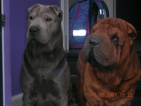 Mia et Feng