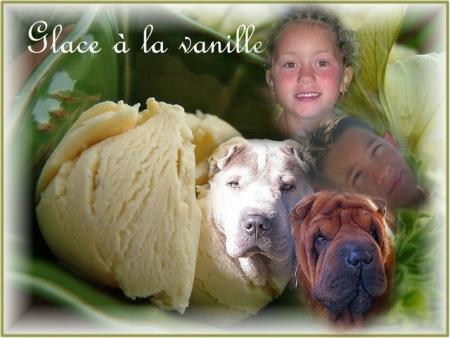 montage fait par Fabienne