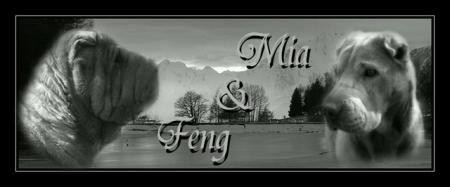 quel talent....................
