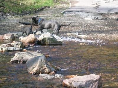 de l'eau