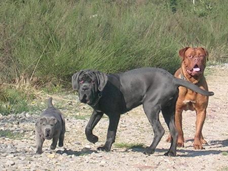 Mes meilleurs potes!