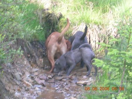 Mes meilleurs potes!