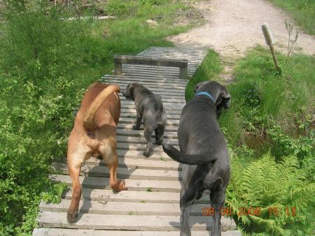 Mes meilleurs potes!
