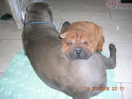 Mia et Feng
