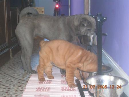 Mia et Feng