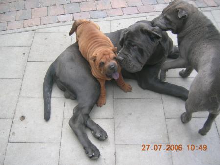 Mes meilleurs potes!