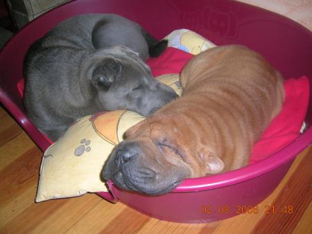 Mia et Feng