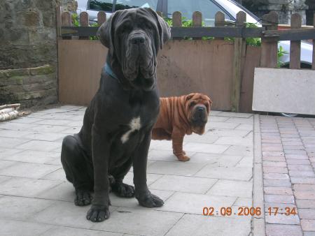 Mes meilleurs potes!