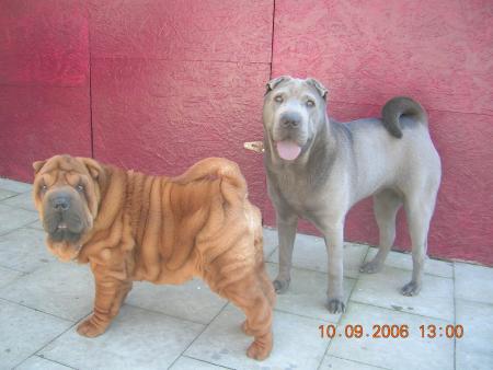 Mia et Feng