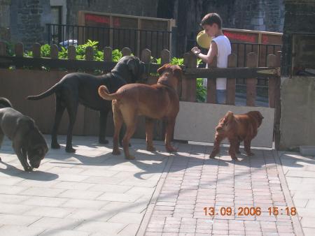 Mes meilleurs potes!