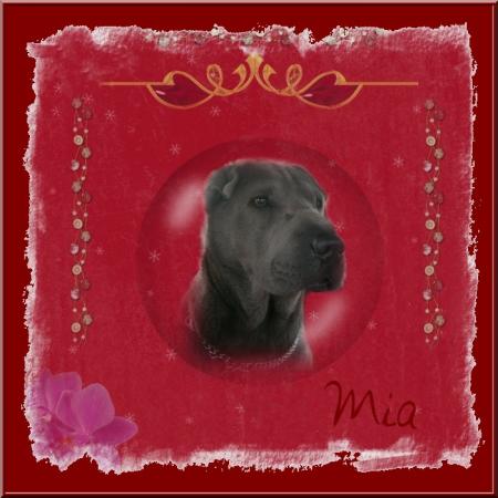 petit essai de montage...