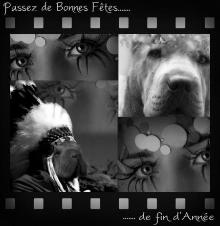Mia et Feng ....